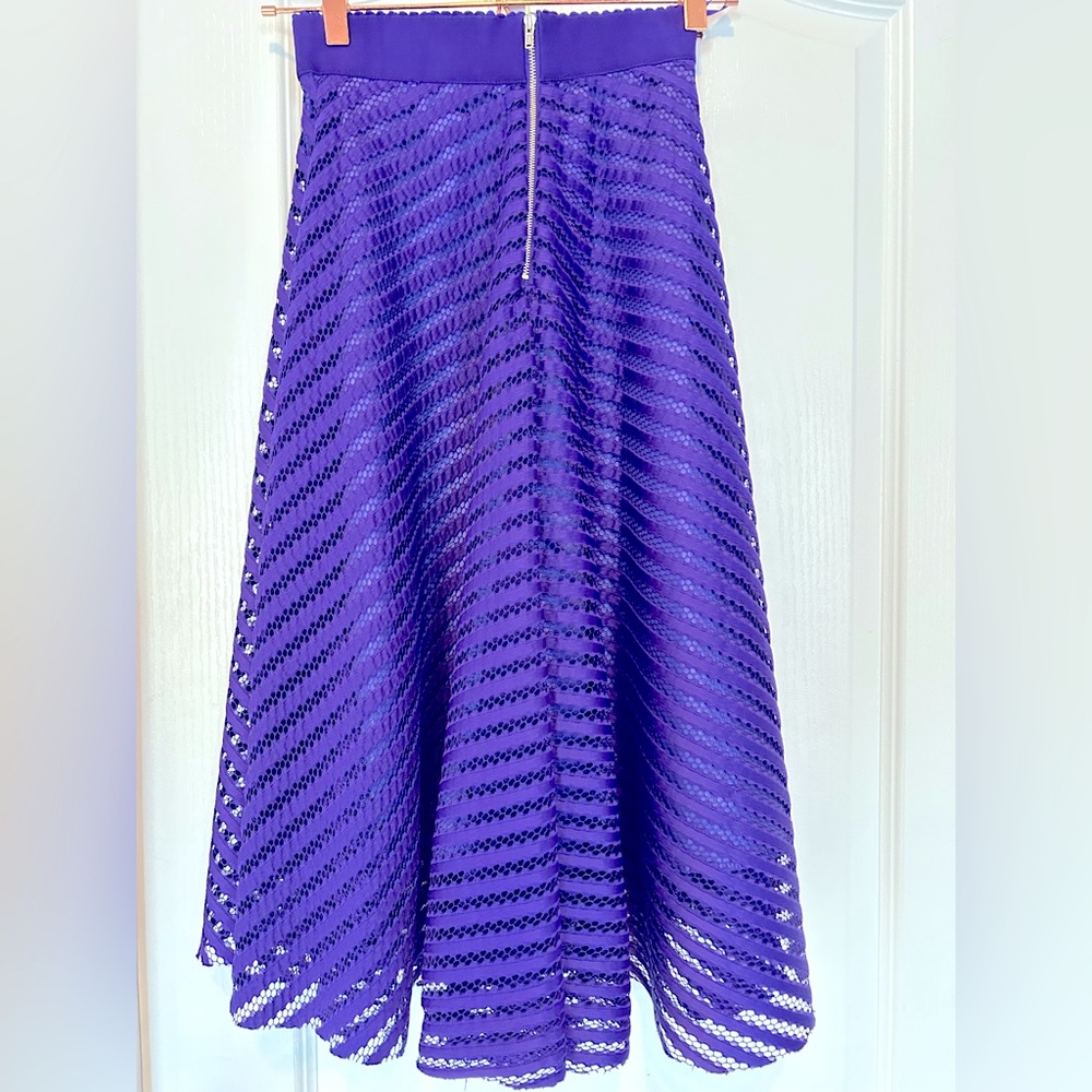 Purple Lace Striped Flare Skirt - Picture 2 of 2